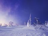白雪皑皑的世界
