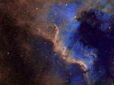 NGC 7000