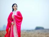 兰陵王妃王洁曦剧照