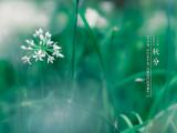 秋分节气