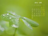 2016年10月绿叶日历