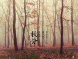 节气秋分