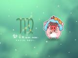 小猪滚滚之处女座