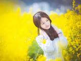 油菜花园里的美女