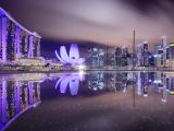 新加坡艺术科学博物馆夜景