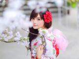 花树下的和服女孩