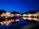 平安神宫夜景