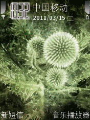 绿色心情