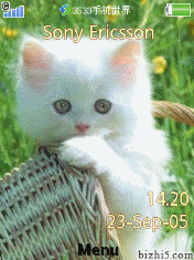 可爱的猫咪