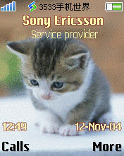 小猫