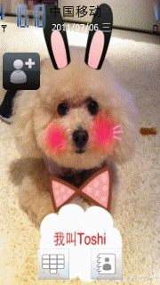 狗狗4
