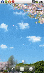 樱花