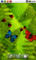 Friendly Bugs Free