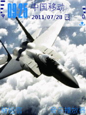 Plane In Sky