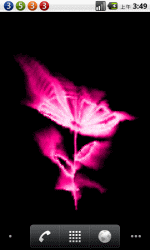 花之火