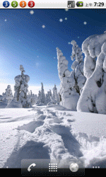 梦幻雪景
