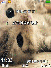 猫咪