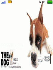 狗狗1