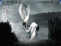 鹤舞