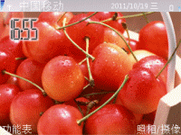樱桃