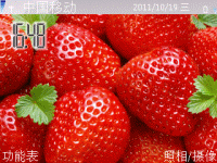 草莓1
