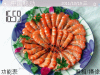 虾的姿态