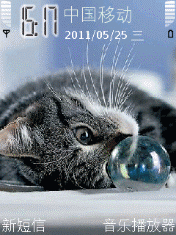 灰猫