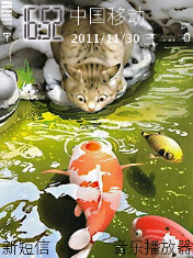CAT猫