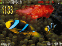 游鱼