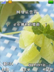 果蔬派