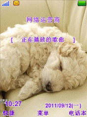狗狗