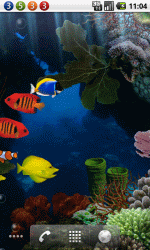 水族馆
