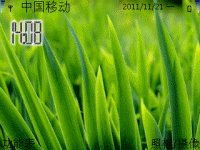 青草