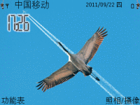 天鹅