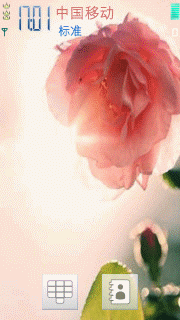 花样