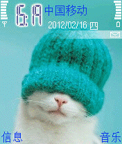 活泼猫猫