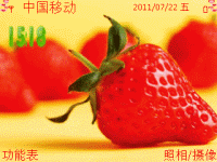 水果草莓