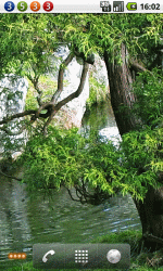 绿树流水