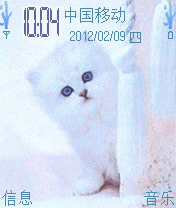 白猫