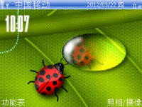 瓢虫