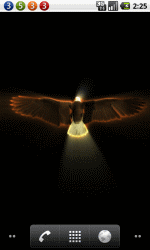 Flying Eagle