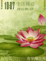 夏日荷花