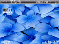 蓝花