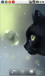 好奇的猫