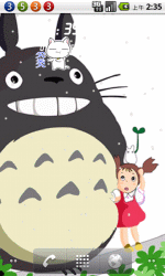 龙猫