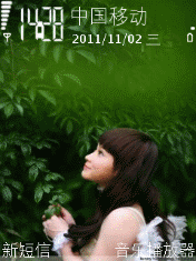 清淅绿叶