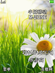 那一抹绿