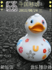 尼斯鸭