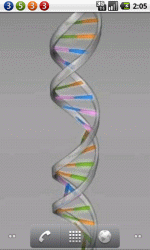 DNA Spiral