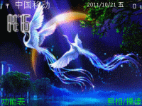 翩翩彩凤